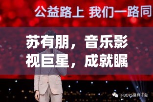苏有朋，音乐影视巨星，成就瞩目，位列十大明星之列