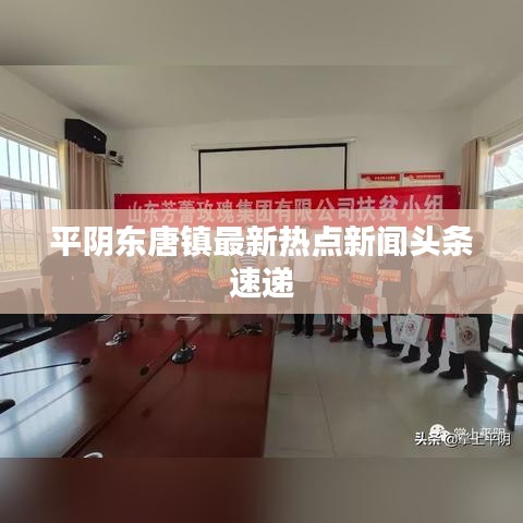 平阴东唐镇最新热点新闻头条速递