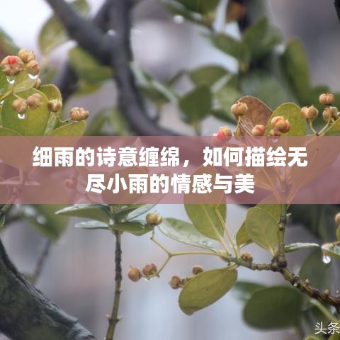 细雨的诗意缠绵，如何描绘无尽小雨的情感与美