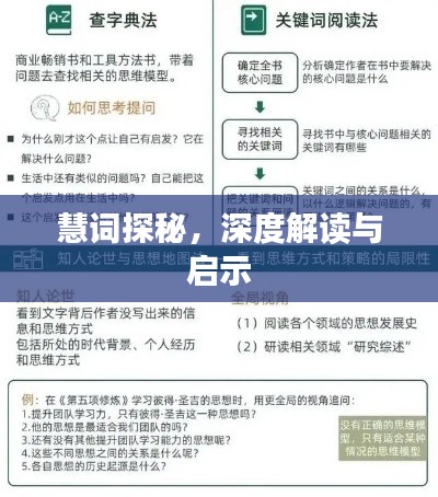 慧词探秘，深度解读与启示