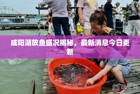 咸阳湖放鱼盛况揭秘，最新消息今日更新