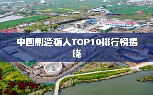 中国制造糖人TOP10排行榜揭晓