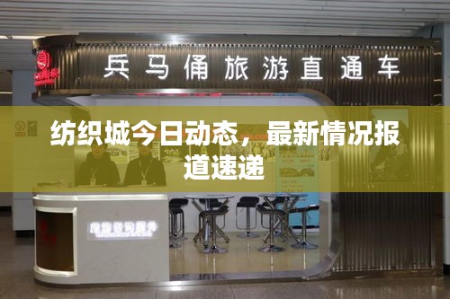 纺织城今日动态，最新情况报道速递