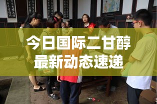 今日国际二甘醇最新动态速递