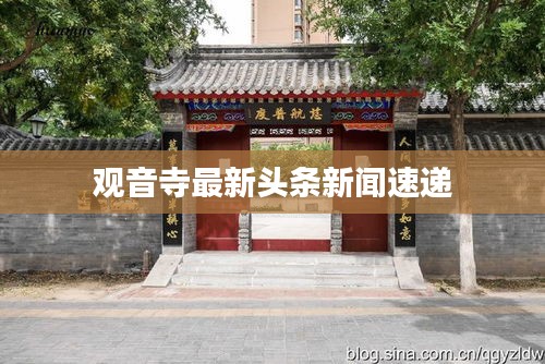 观音寺最新头条新闻速递