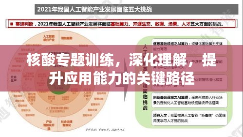 核酸专题训练，深化理解，提升应用能力的关键路径