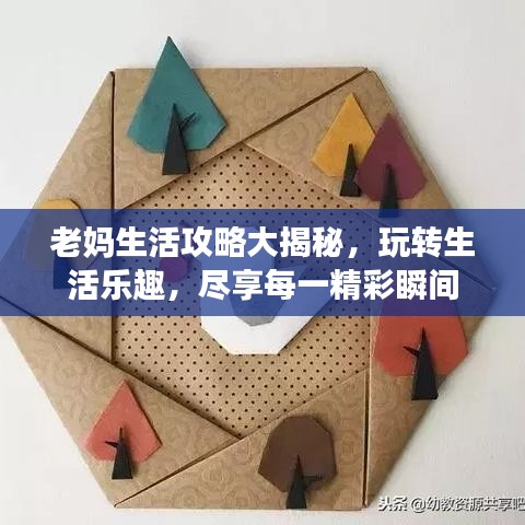老妈生活攻略大揭秘，玩转生活乐趣，尽享每一精彩瞬间