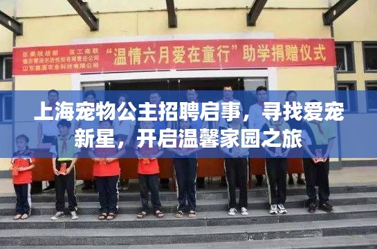 上海宠物公主招聘启事，寻找爱宠新星，开启温馨家园之旅