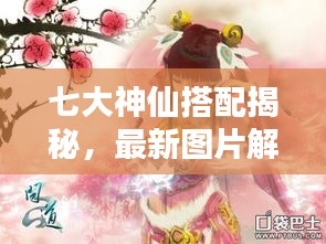 七大神仙搭配揭秘，最新图片解析大全
