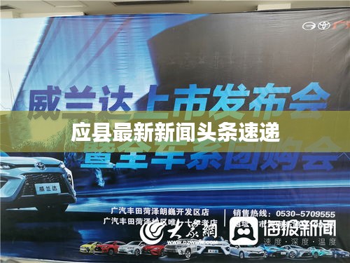 应县最新新闻头条速递