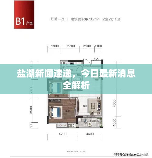 盐湖新闻速递，今日最新消息全解析