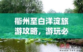 衢州至白洋淀旅游攻略，游玩必备指南