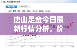 唐山足金今日最新行情分析，价格走势一网打尽！