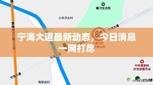 宁海大道最新动态，今日消息一网打尽