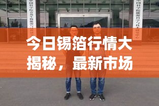 今日锡箔行情大揭秘，最新市场动态一网打尽