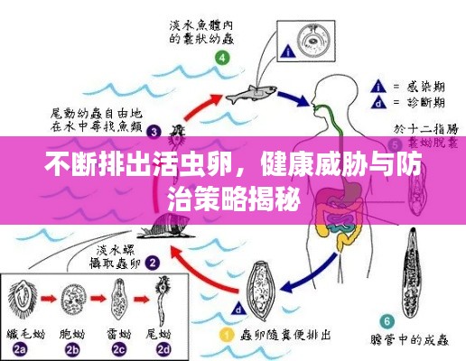 不断排出活虫卵，健康威胁与防治策略揭秘