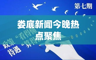 娄底新闻今晚热点聚焦