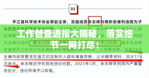 工作督查通报大揭秘，落实细节一网打尽！