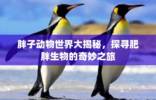 胖子动物世界大揭秘，探寻肥胖生物的奇妙之旅
