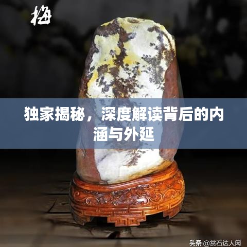 独家揭秘，深度解读背后的内涵与外延