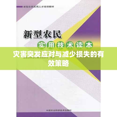 灾害突发应对与减少损失的有效策略