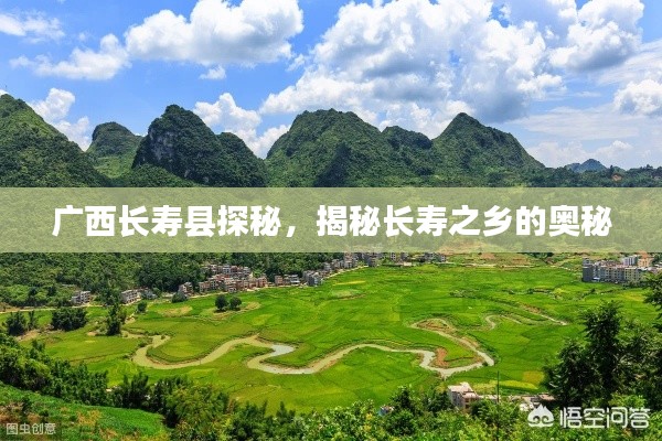 广西长寿县探秘，揭秘长寿之乡的奥秘