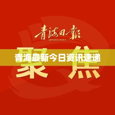 青海最新今日资讯速递