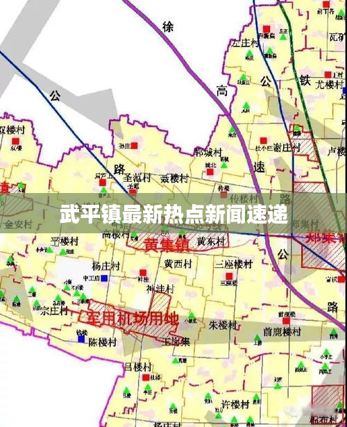 武平镇最新热点新闻速递