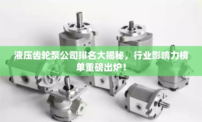 液压齿轮泵公司排名大揭秘，行业影响力榜单重磅出炉！