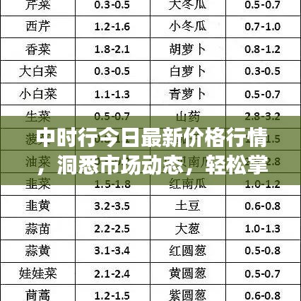 中时行今日最新价格行情，洞悉市场动态，轻松掌握最新行情信息