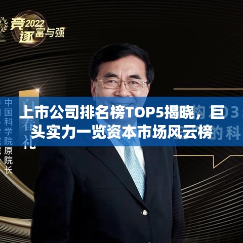上市公司排名榜TOP5揭晓，巨头实力一览资本市场风云榜