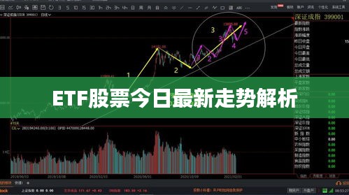 ETF股票今日最新走势解析