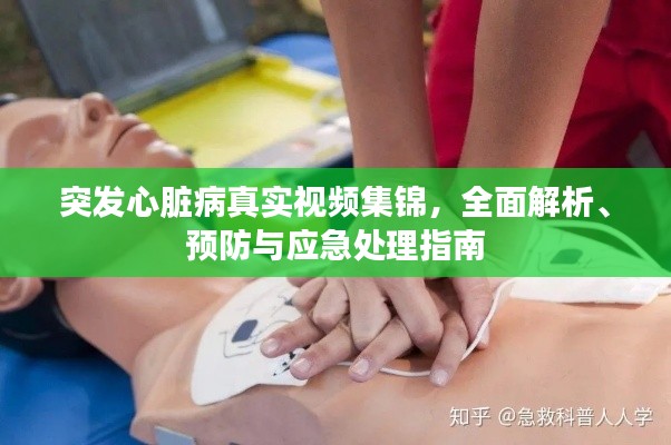 突发心脏病真实视频集锦，全面解析、预防与应急处理指南
