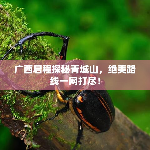 广西启程探秘青城山，绝美路线一网打尽！