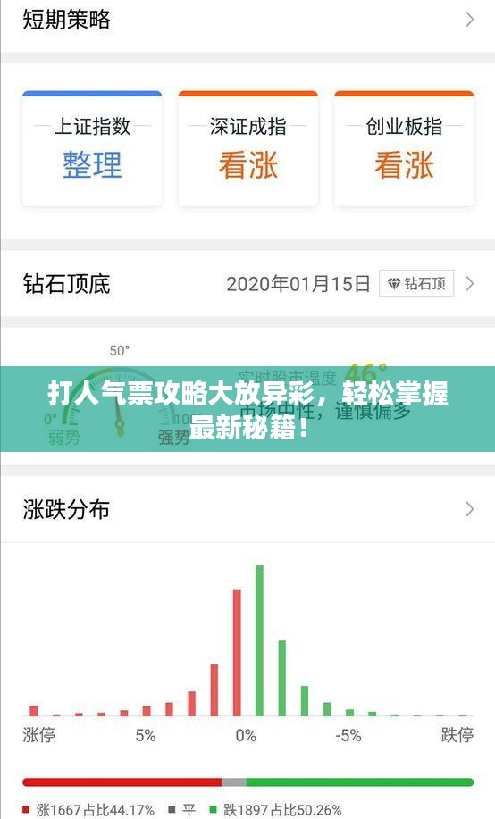 打人气票攻略大放异彩，轻松掌握最新秘籍！