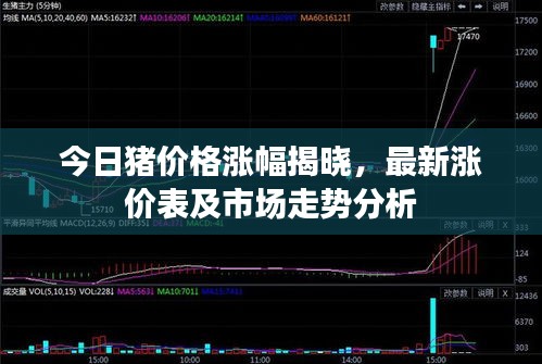 今日猪价格涨幅揭晓，最新涨价表及市场走势分析