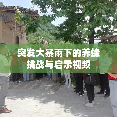 突发大暴雨下的养蜂挑战与启示视频