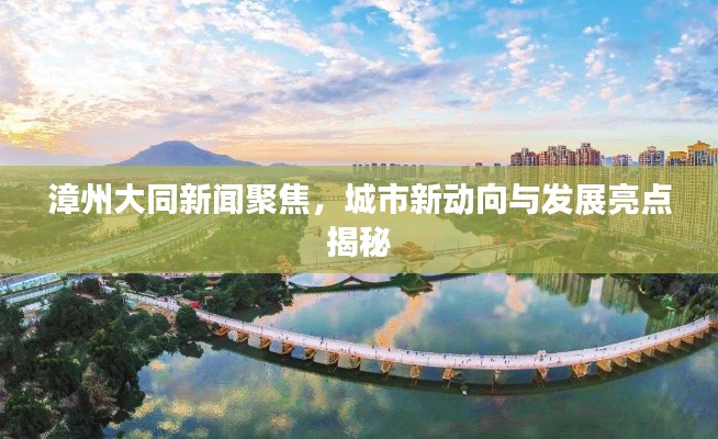 漳州大同新闻聚焦，城市新动向与发展亮点揭秘