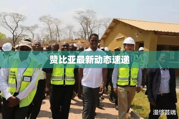 赞比亚最新动态速递