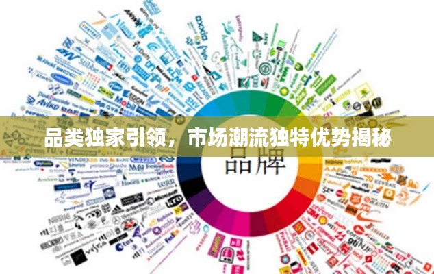 品类独家引领，市场潮流独特优势揭秘