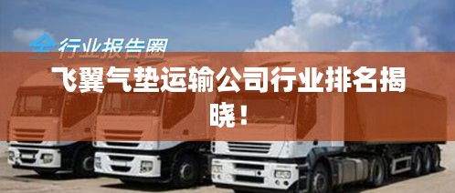 飞翼气垫运输公司行业排名揭晓！