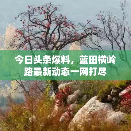 今日头条爆料，蓝田横岭路最新动态一网打尽
