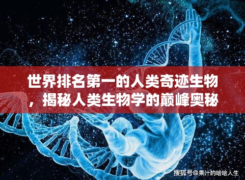 世界排名第一的人类奇迹生物，揭秘人类生物学的巅峰奥秘