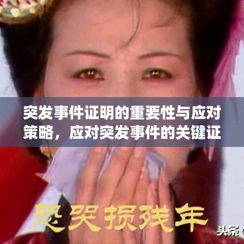 突发事件证明的重要性与应对策略，应对突发事件的关键证据揭秘