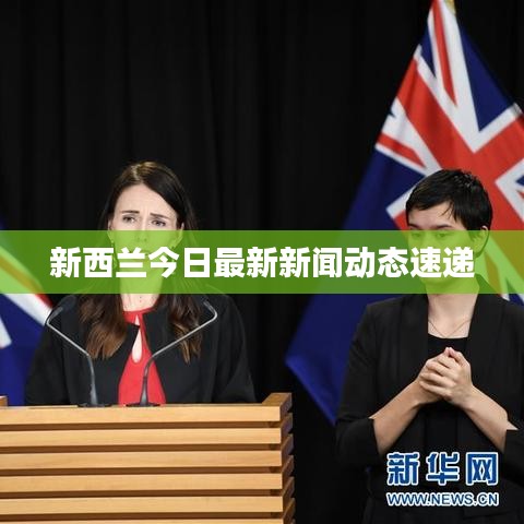 新西兰今日最新新闻动态速递