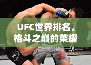 木乾鸟栖