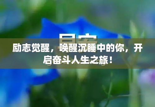 励志觉醒，唤醒沉睡中的你，开启奋斗人生之旅！