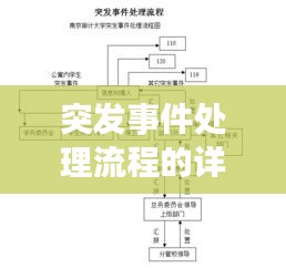突发事件处理流程的详细步骤解析