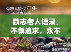 黑天摸地