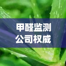甲醛监测公司权威排名榜单，专业治理甲醛，健康生活有保障！